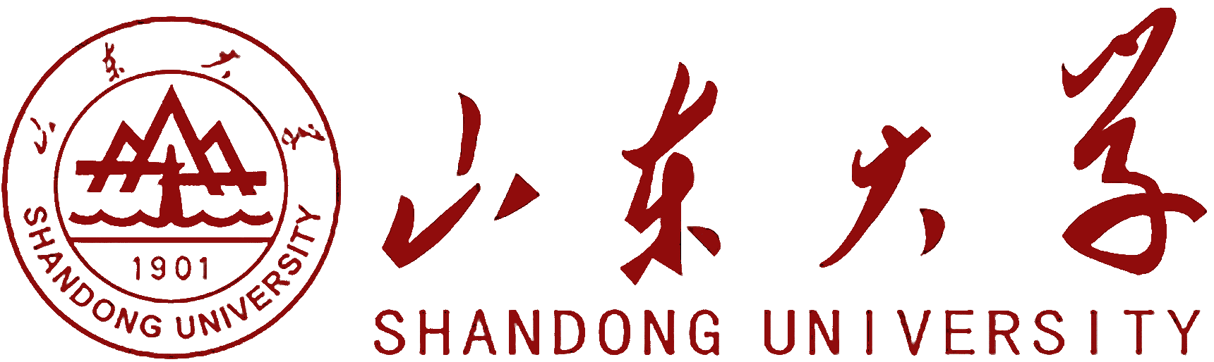 Shandong University
            Logo